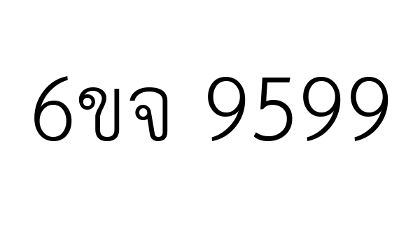 6ขจ 9599